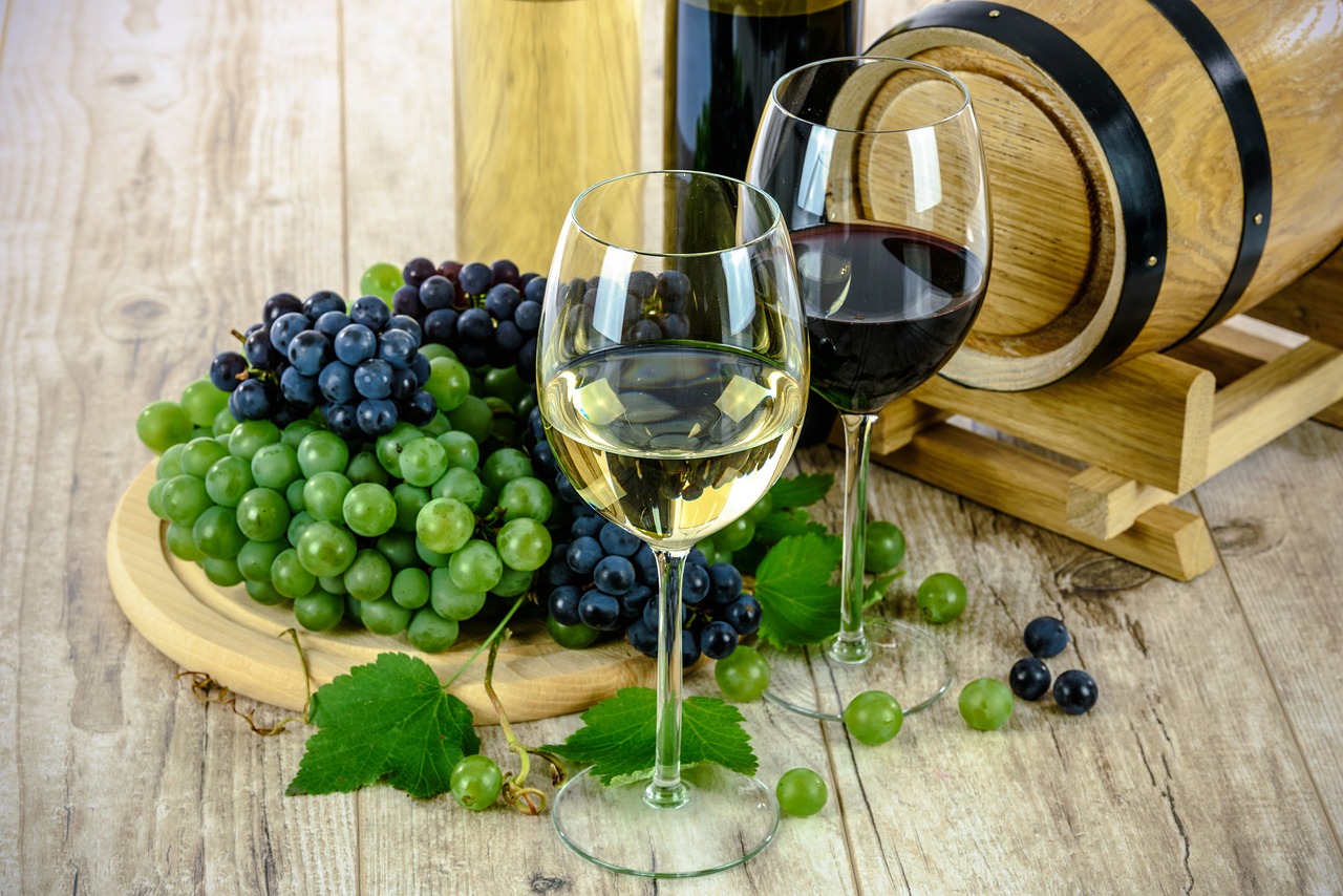 Os 10 melhores vinhos Chardonnay produzidos na Argentina